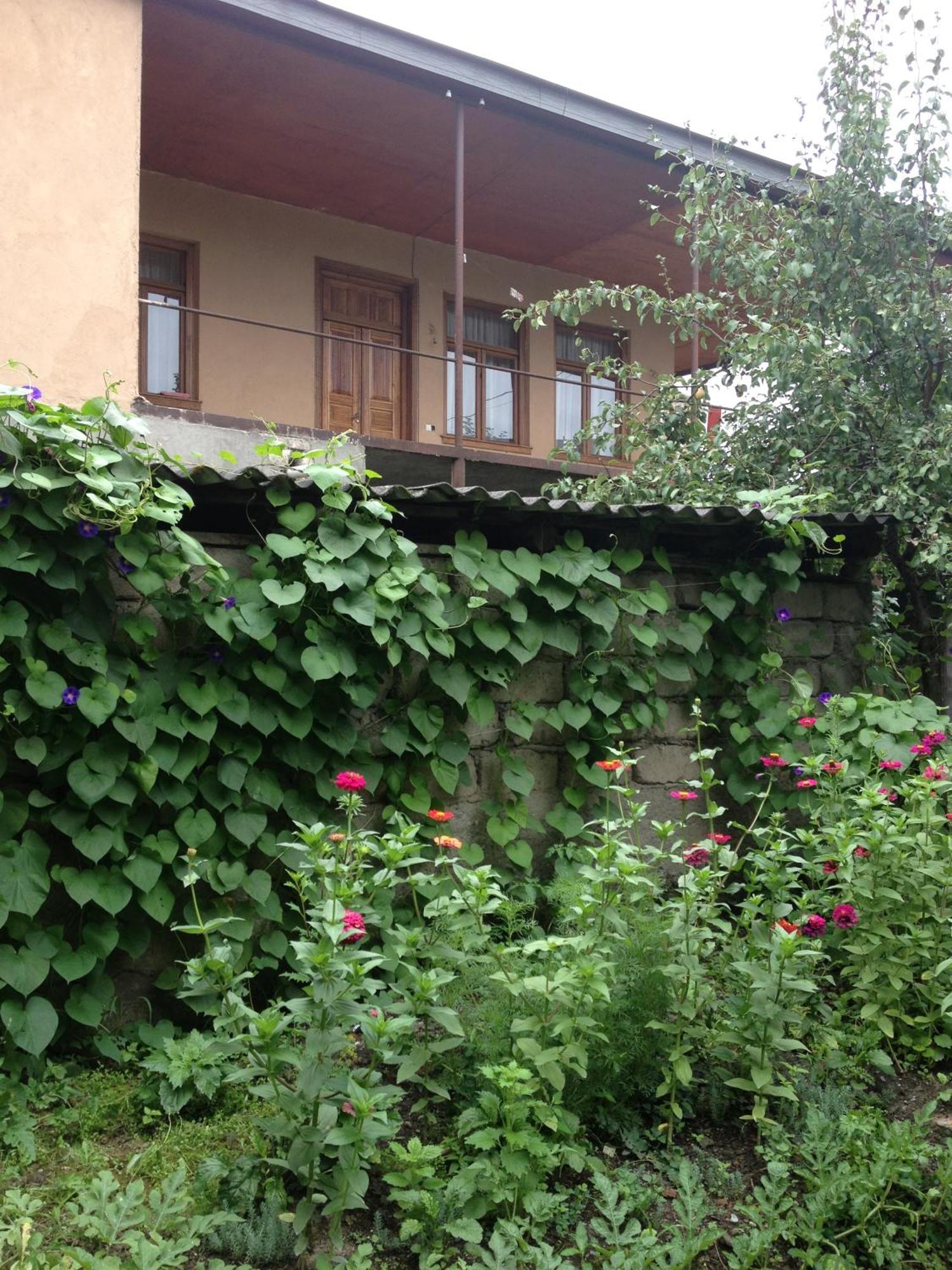 Guesthouse "Kistauri" Telavi Exterior foto